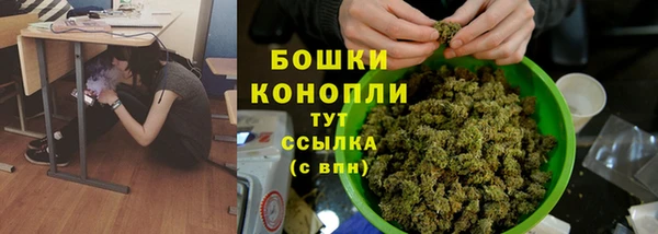 сатива Абдулино
