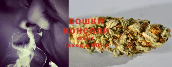 сатива Абдулино