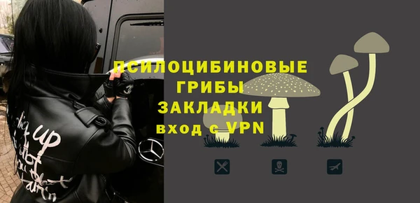 сатива Абдулино