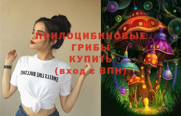 соль ск Абинск