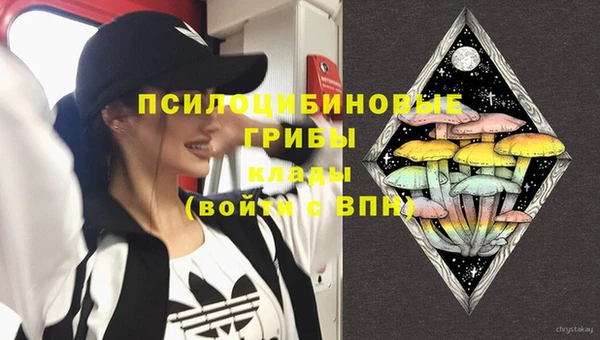 марихуана Абаза
