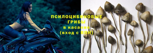 соль ск Абинск